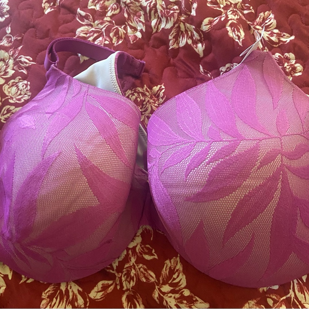 Cacique Pink Lace Bra Intimates & Sleepwear